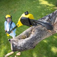 Lawn Irrigation Installation and Maintenance in Sewalls Point, FL