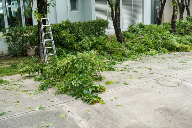 Mulching Services in Sewalls Point, FL